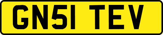 GN51TEV