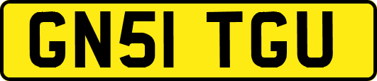 GN51TGU