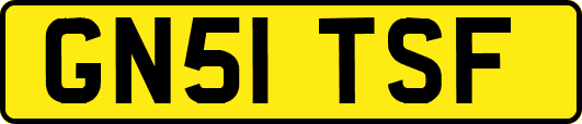 GN51TSF