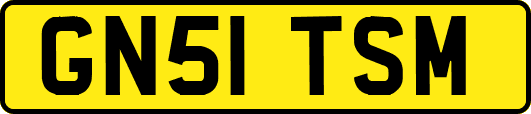 GN51TSM