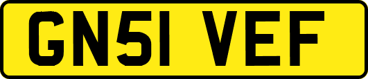 GN51VEF
