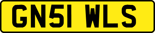 GN51WLS