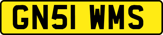 GN51WMS