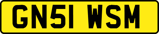 GN51WSM