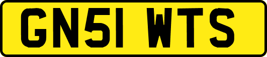 GN51WTS