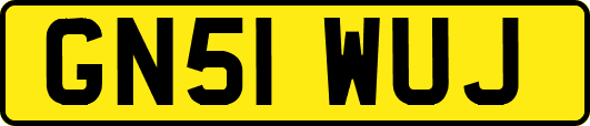 GN51WUJ