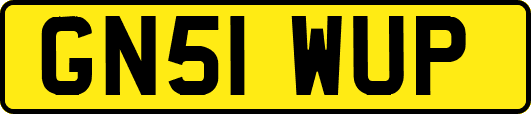 GN51WUP