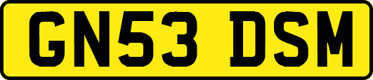 GN53DSM
