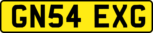 GN54EXG