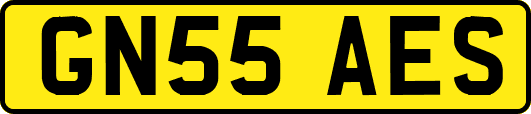 GN55AES
