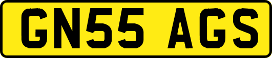 GN55AGS
