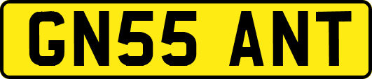 GN55ANT