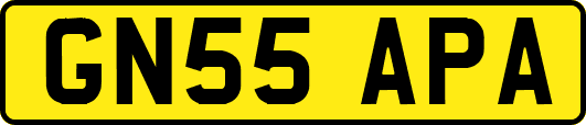 GN55APA