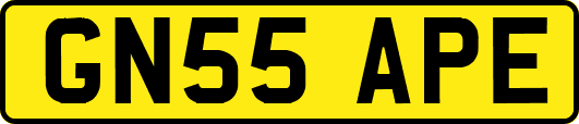 GN55APE