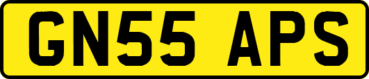 GN55APS