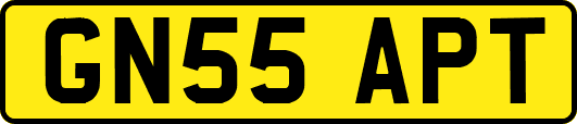 GN55APT