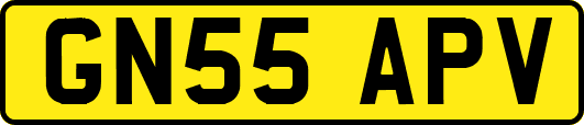 GN55APV