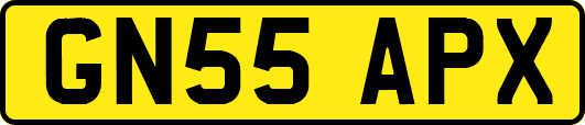 GN55APX