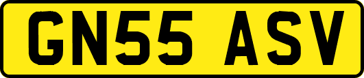 GN55ASV