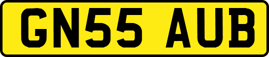 GN55AUB