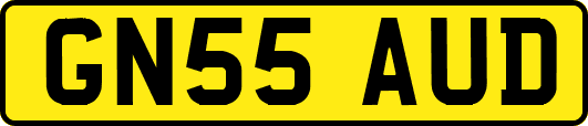 GN55AUD