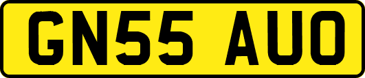 GN55AUO