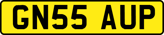 GN55AUP