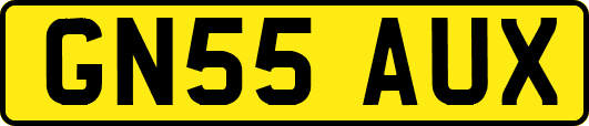GN55AUX