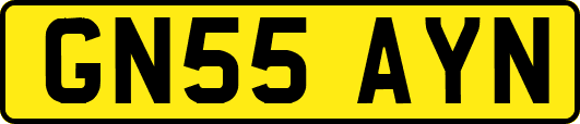 GN55AYN