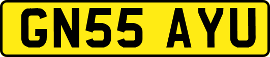 GN55AYU