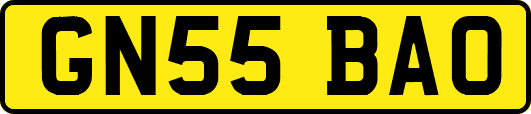 GN55BAO
