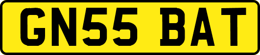 GN55BAT