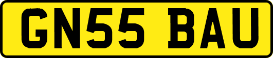 GN55BAU