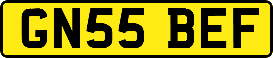 GN55BEF
