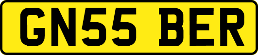 GN55BER