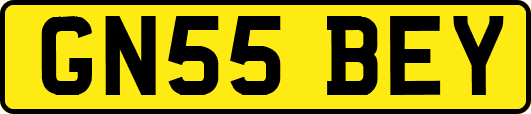 GN55BEY
