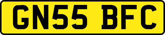 GN55BFC