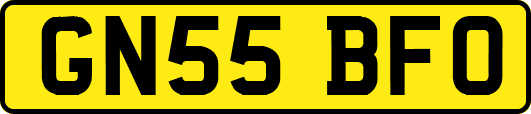 GN55BFO