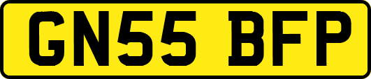 GN55BFP