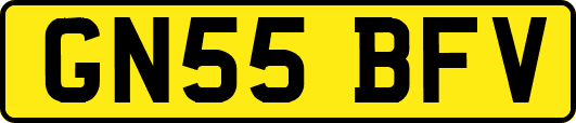 GN55BFV