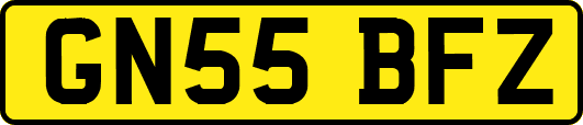 GN55BFZ