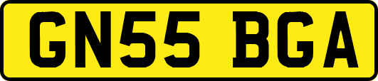 GN55BGA
