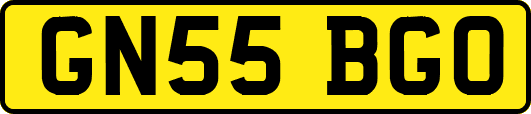 GN55BGO