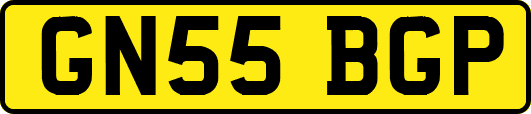 GN55BGP