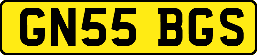 GN55BGS