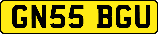GN55BGU