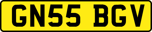 GN55BGV