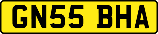 GN55BHA