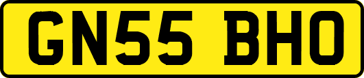 GN55BHO