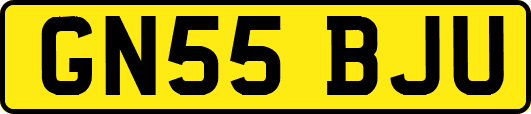GN55BJU